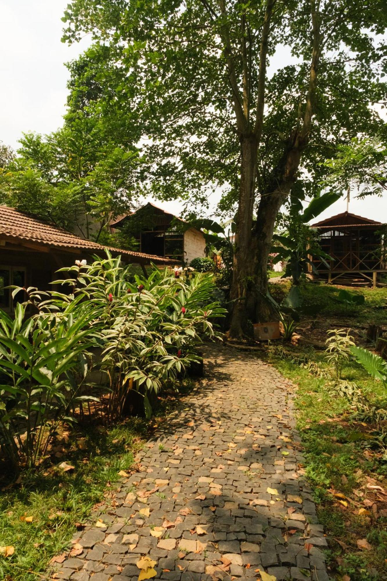 Roca Maria Helena-Principe Hotel Santo Antonio Exterior photo